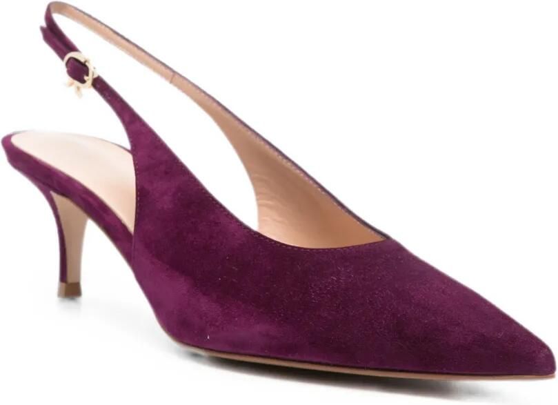Gianvito Rossi Robbie pumps Paars - Foto 2