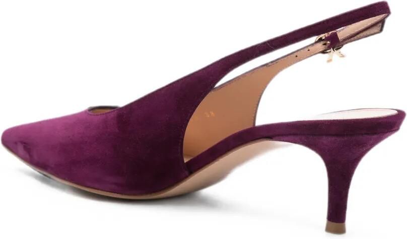 Gianvito Rossi Robbie pumps Paars - Foto 3