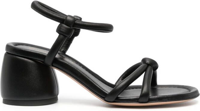 Gianvito Rossi Sandalen met geknoopt bandjes Zwart