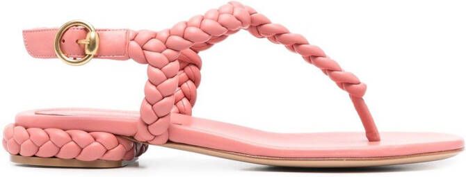Gianvito Rossi Sandalen met gevlochten bandje Roze