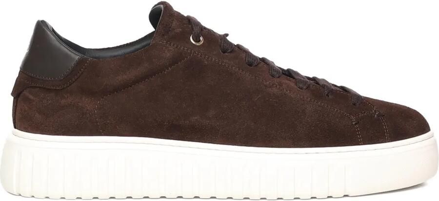 Giuliano Galiano Suède sneakers Bruin