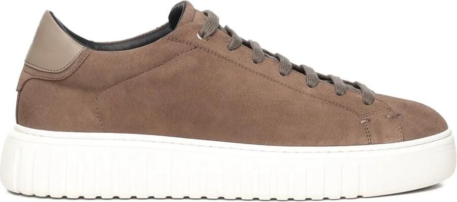 Giuliano Galiano Suède sneakers Bruin