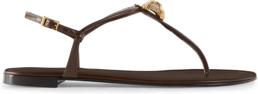 Giuseppe Zanotti Cocktail platte sandalen Bruin