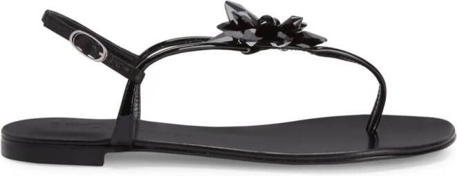 Giuseppe Zanotti Letizia sandalen met bloemenpatch Zwart