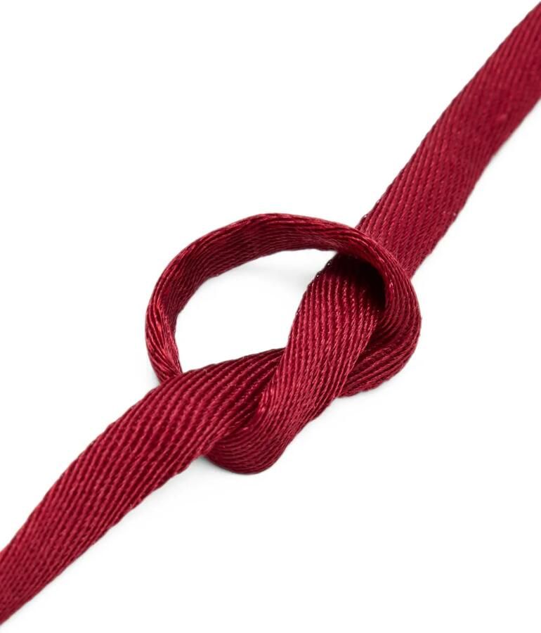 Golden Goose logo-detail shoe laces Rood - Foto 2