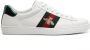 Gucci Ace sneakers met webstreep Wit - Thumbnail 1
