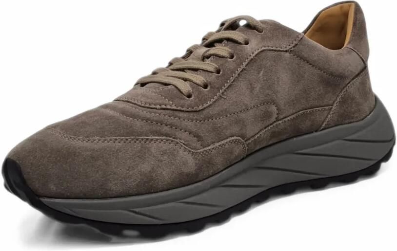 Henderson Baracco Sharks sneakers Bruin - Foto 5