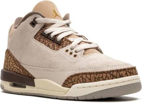 Jordan Kids "Air Jordan 3 PS Palomino sneakers" Bruin