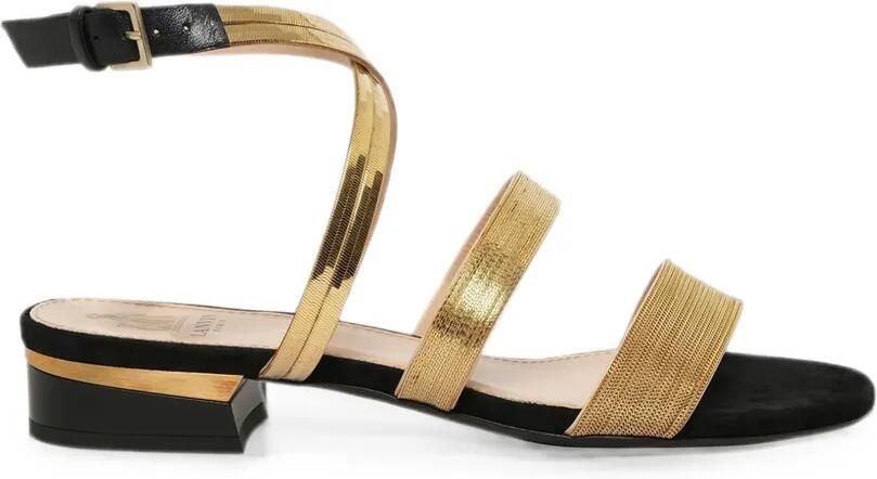 Lanvin Sandalen met kettingdetail en gesp Zwart