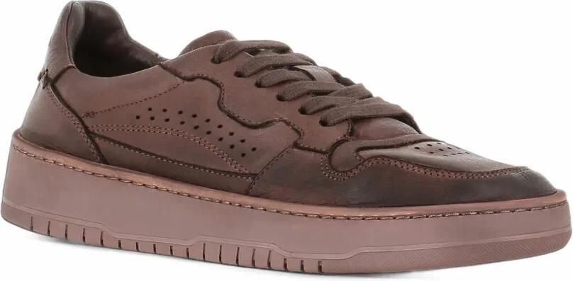 LEMARGO perforated panelled sneakers Bruin