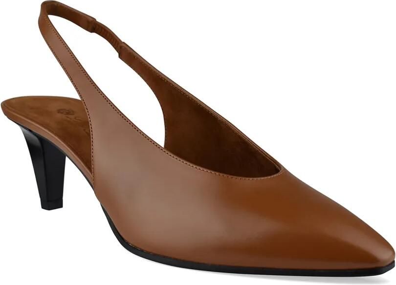 Loro Piana Rebecca pumps met puntige neus Beige - Foto 4