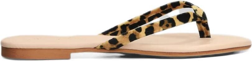 MC2 Saint Barth Teenslippers met luipaardprint Beige