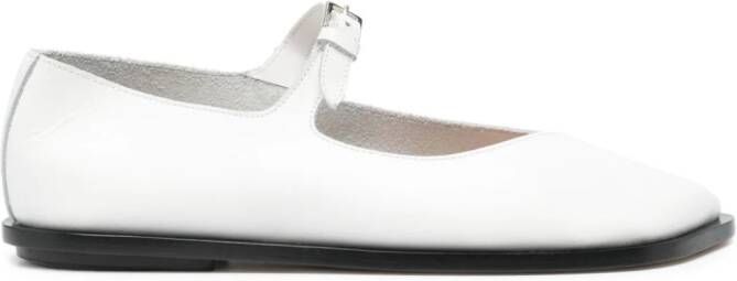 Niccolò Pasqualetti Lea leren ballerina's Wit