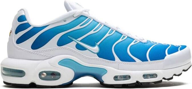 Nike Air Max Plus "Blue Gaze" sneakers Blauw