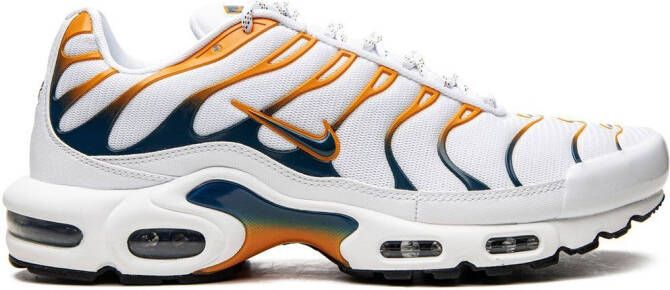 Nike Air Max Plus sneakers Blauw