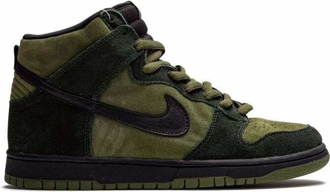 Nike Dunk High Pro SB sneakers Groen