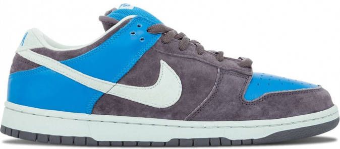 Nike Dunk Pro SB low-top sneakers Grijs