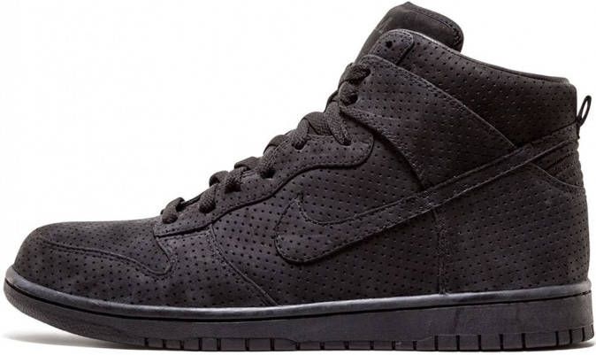 Nike Dunk Prem '08 TZ sneakers Bruin