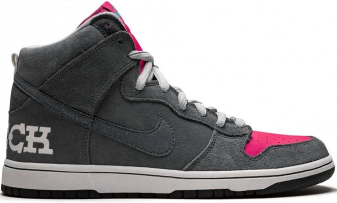 Nike Dunk Premium SB sneakers Grijs