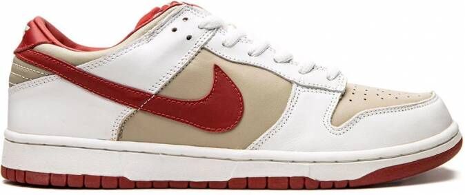 Nike Dunk Pro low-top sneakers Grijs