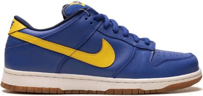 Nike Dunk Pro SB low-top sneakers Blauw