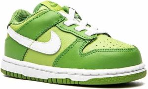 Nike Kids Dunk Low "Chlorophyll" sneakers Groen