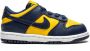 Nike Kids Dunk Low sneakers Blauw - Thumbnail 1