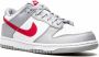 Nike Kids Dunk Low sneakers Grijs - Thumbnail 1