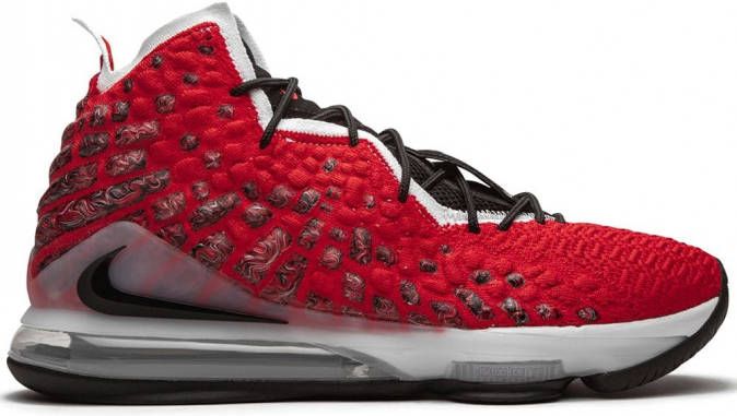 Nike Dunk Pro SB low-top sneakers Bruin