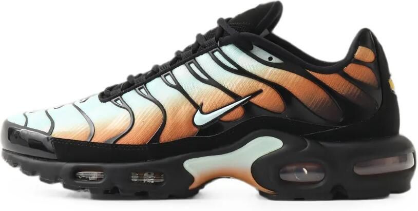 Nike Air Max Plus OG sneakers Zwart