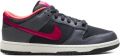 Nike Dunk Low Protro sneakers Zwart - Zwart