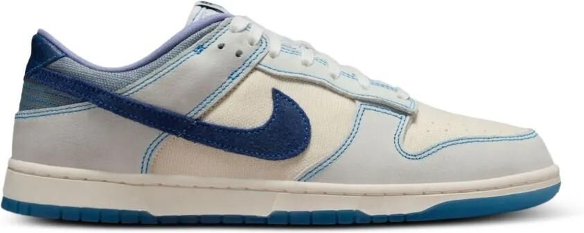 Nike Dunk Low Retro SE sneakers Grijs