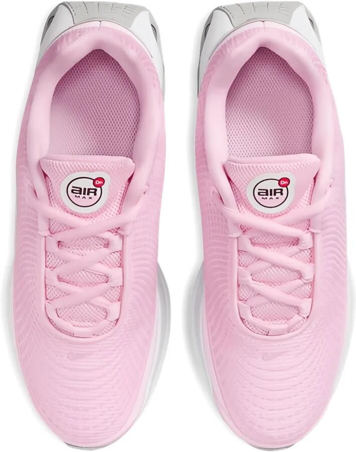 Nike Kids Air Max DN GS sneakers Roze