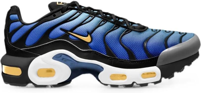 Nike Kids Air Max Plus OG sneakers Blauw