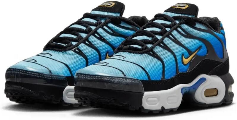 Nike Kids Air Max Plus sneakers Blauw