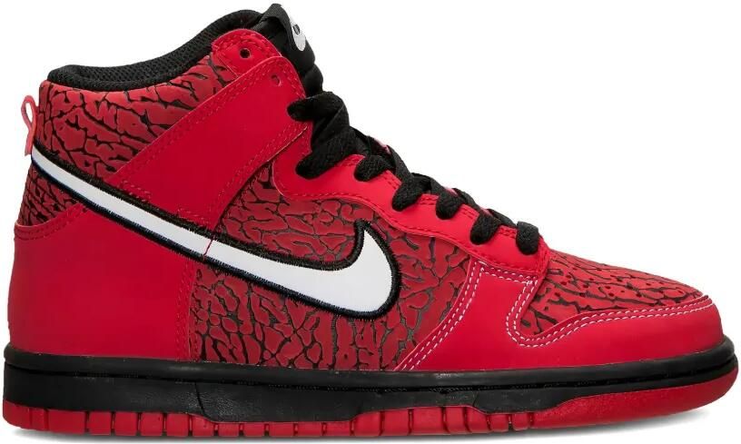 Nike Kids Dunk High GS sneakers Rood