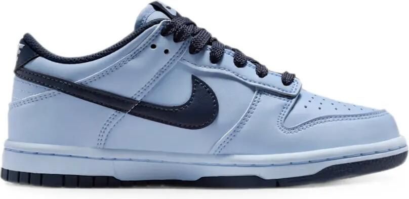 Nike Kids Dunk Low LV8 2 GS sneakers Blauw