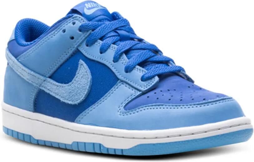 Nike Kids Dunk Low SE sneakers Blauw