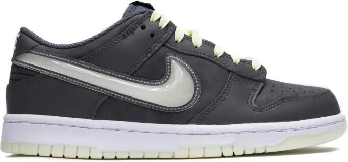 Nike Kids Dunk Low sneakers Grijs