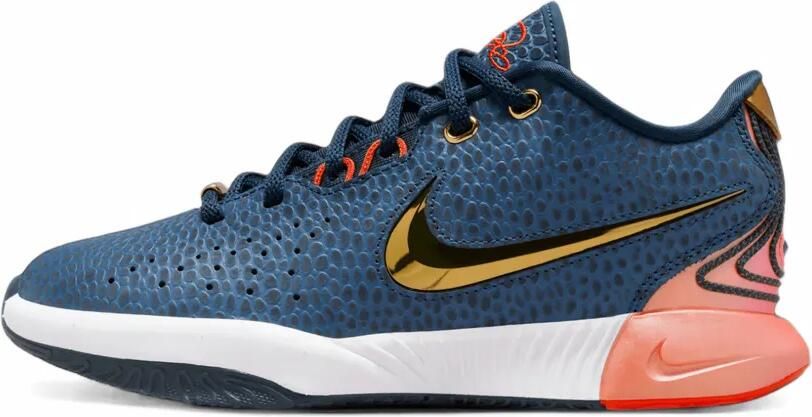 Nike Kids LeBron 21 sneakers Blauw
