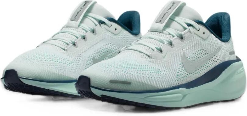 Nike Kids Pegasus 41 sneakers Blauw