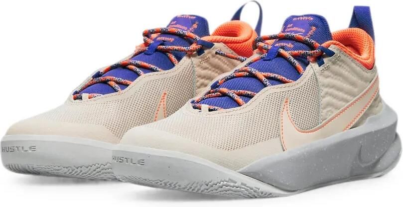 Nike Kids Team Hustle D10 SE GS sneakers Beige