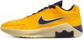 Nike Lebron Witness 9 sneakers Geel - Geel