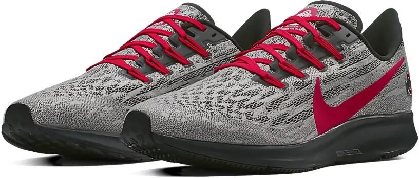 Nike Pegasus 36 low-top sneakers Grijs