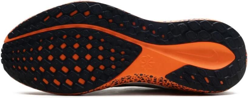 Nike Zoom Pegasus 41 "Safari" sneakers Grijs - Foto 5