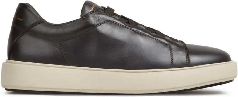 Officine Creative Leren sneakers Bruin