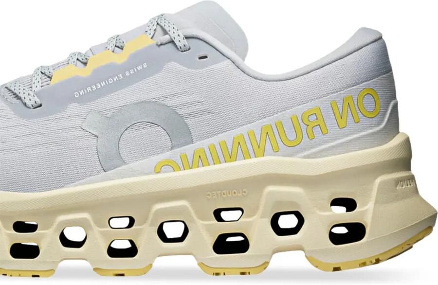 On Cloudm ster 3 sneakers Grijs