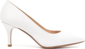 Paule Ka Pumps met puntige neus Wit