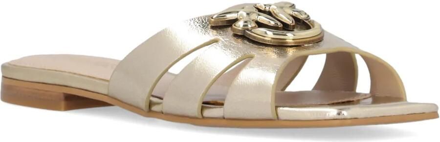 PINKO Love Birds sandalen met patroon Goud