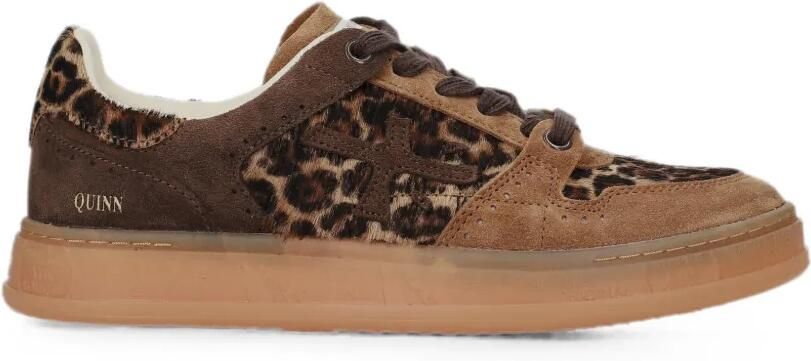 Premiata Quinnd 8643 sneakers Bruin
